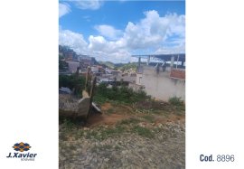 ID 8896